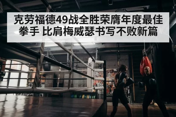 boxer training gym